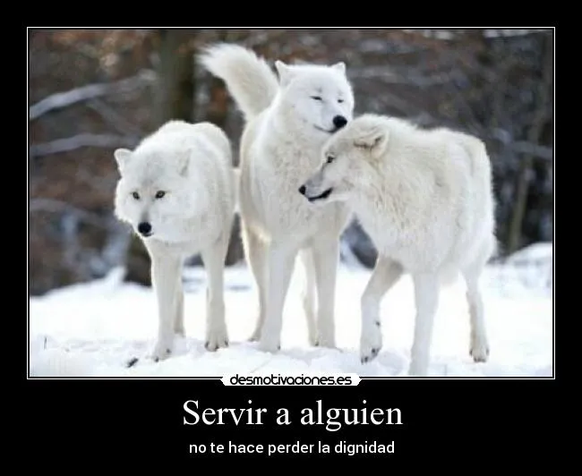 Servir a alguien | Desmotivaciones