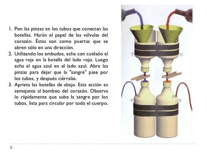 Sesi%80%a0%a6%f3n domingo 20