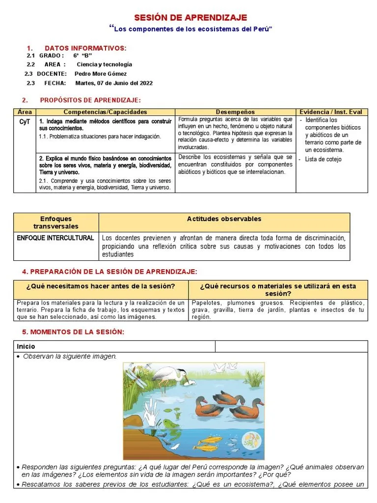 Sesion Los Componentes de Los Ecosistemas | PDF | Ecosistema | Ecología Sesion Los Componentes de Los Ecosistemas | PDF | Ecosistema | Ecología