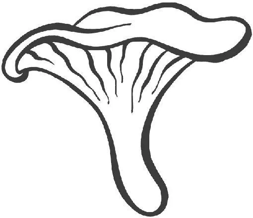 Dibujos de setas infantiles - Imagui