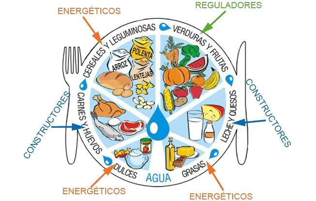 Sextos Años de la Maestra Andrea: ALIMENTACIÓN Y NUTRICIÓN ... Sextos Años de la Maestra Andrea: ALIMENTACIÓN Y NUTRICIÓN ...