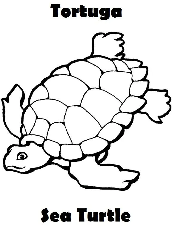 SGBlogosfera. María José Argüeso: COLOREAMOS ANIMALES EN INGLÉS SGBlogosfera. María José Argüeso: COLOREAMOS ANIMALES EN INGLÉS