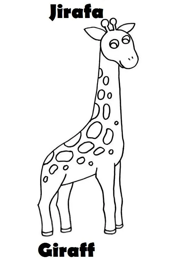 SGBlogosfera. María José Argüeso: COLOREAMOS ANIMALES EN INGLÉS