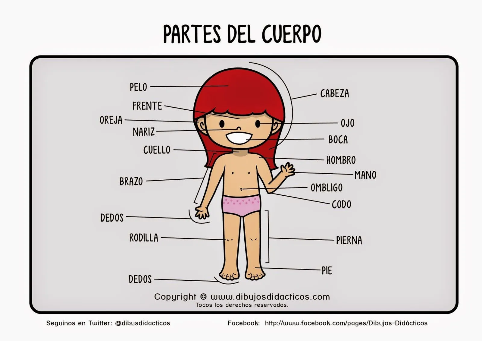 SGBlogosfera. María José Argüeso: CUERPO HUMANO: CONOCEMOS Y ... SGBlogosfera. María José Argüeso: CUERPO HUMANO: CONOCEMOS Y ...
