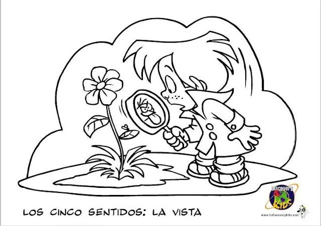 SGBlogosfera. María José Argüeso: LOS CINCO SENTIDOS