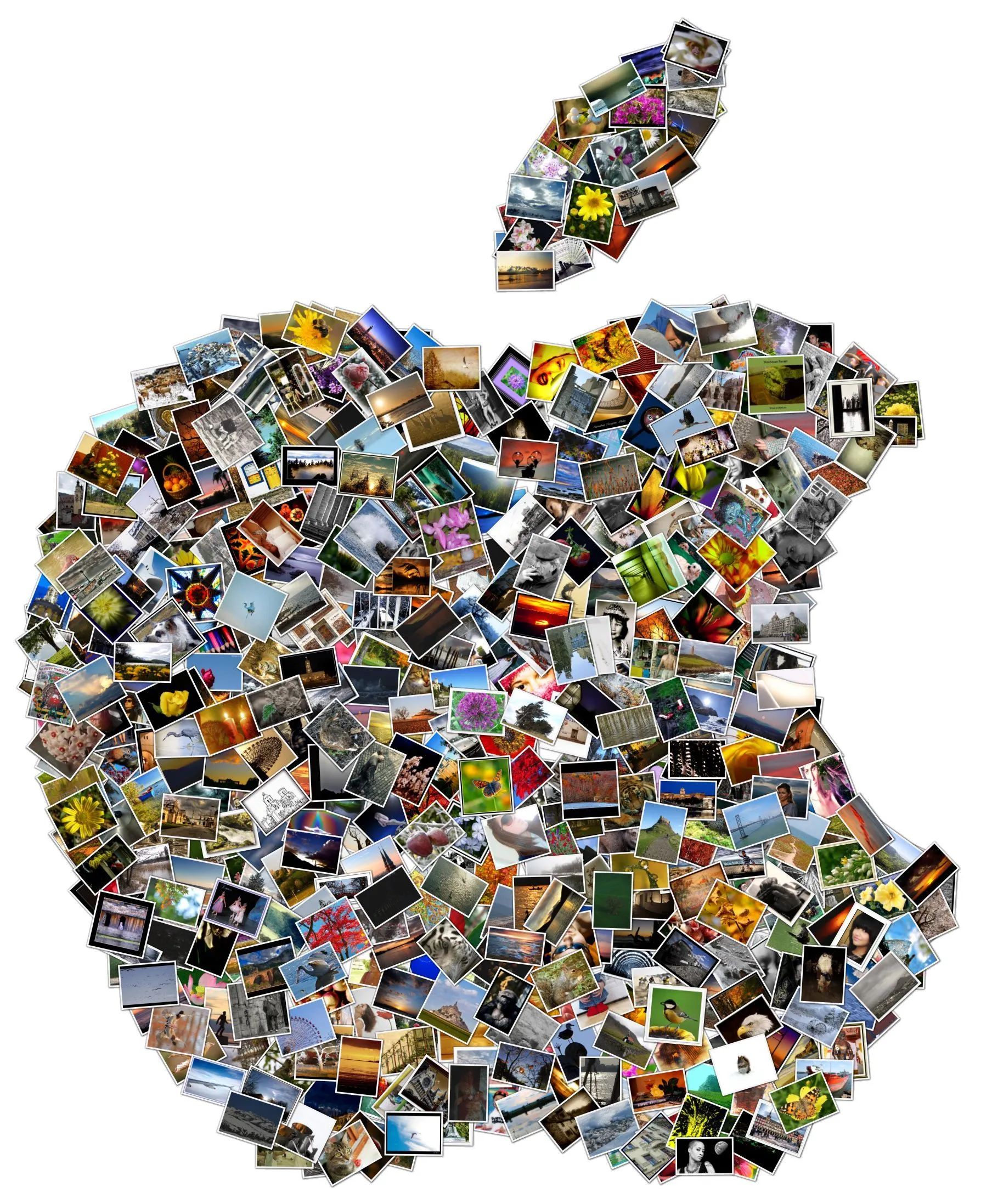 Shape Collage 2.5.3 (with Serial Key) | The- Wares. Shape Collage 2.5.3 (with Serial Key) | The- Wares.