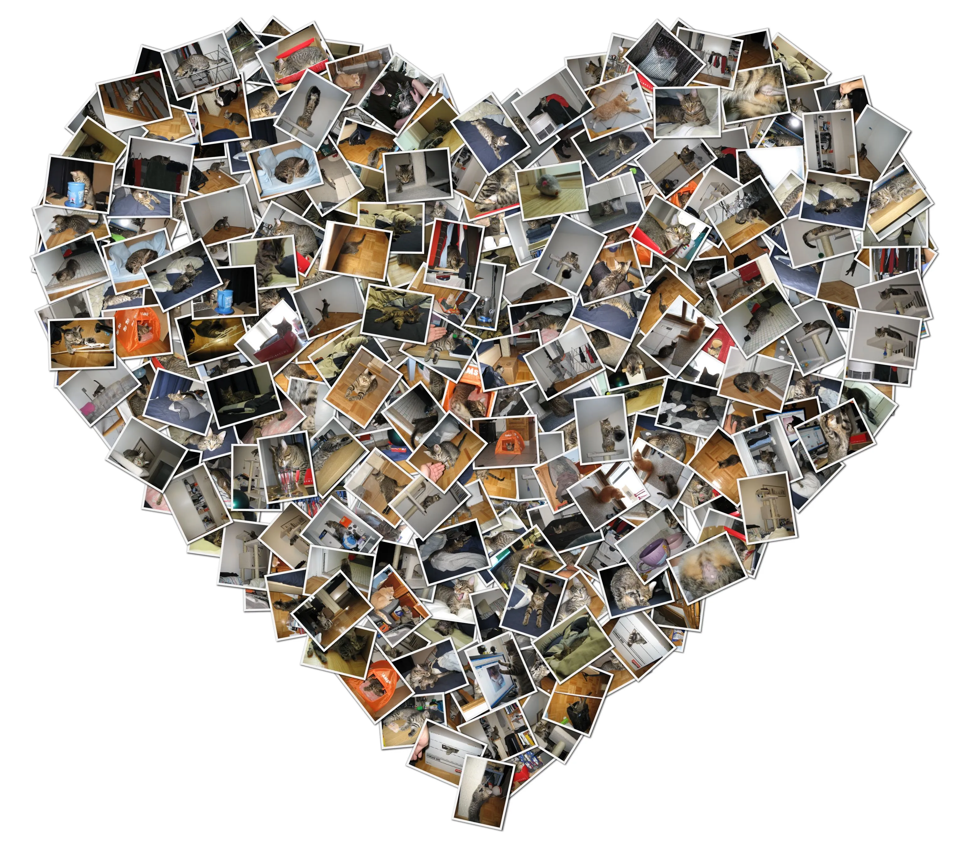 Shape Collage Features