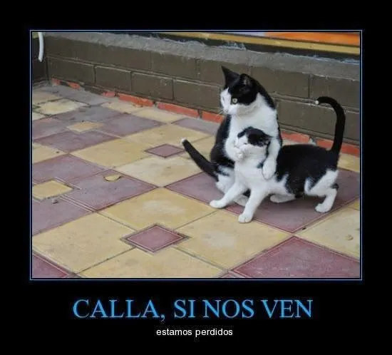 Shhh si nos escuchan estamos perdidos | MundoChistoso.Com ...