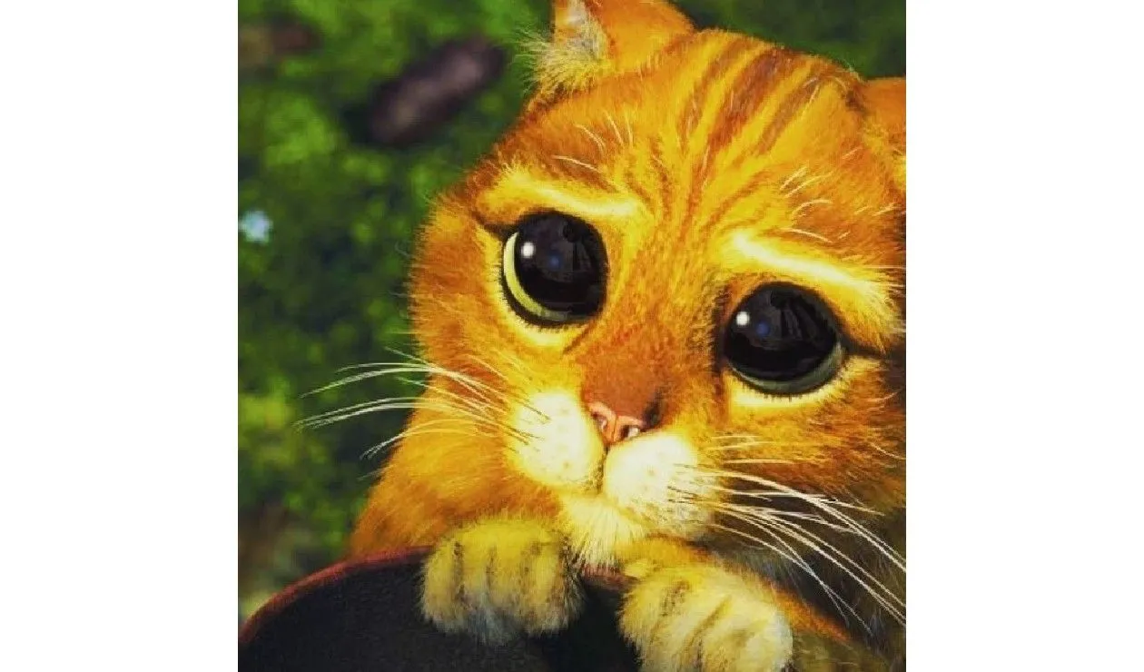 Shrek: Encuentran al gato con botas de la película en la vida real | Alerta  Bogotá