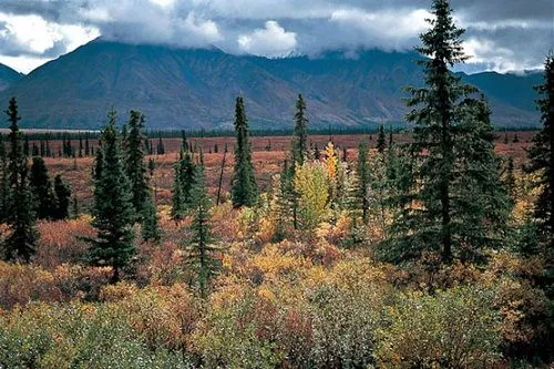La Siberia que no conocias [Rusia] - Taringa!