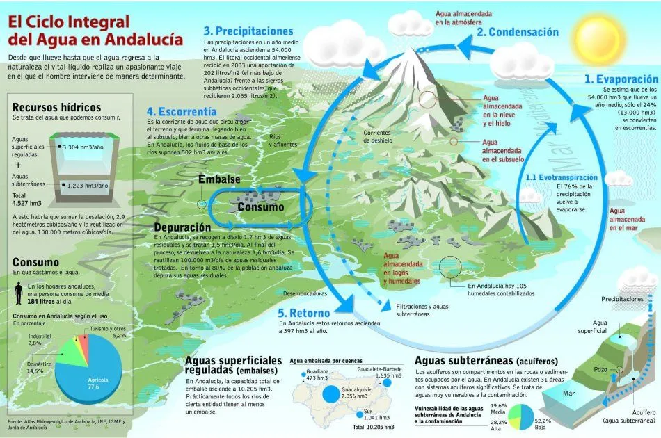 siclo del agua: ciclo del agua