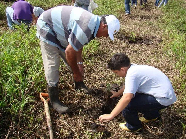 Siembre el árbol correcto | Carbono NeutroCR