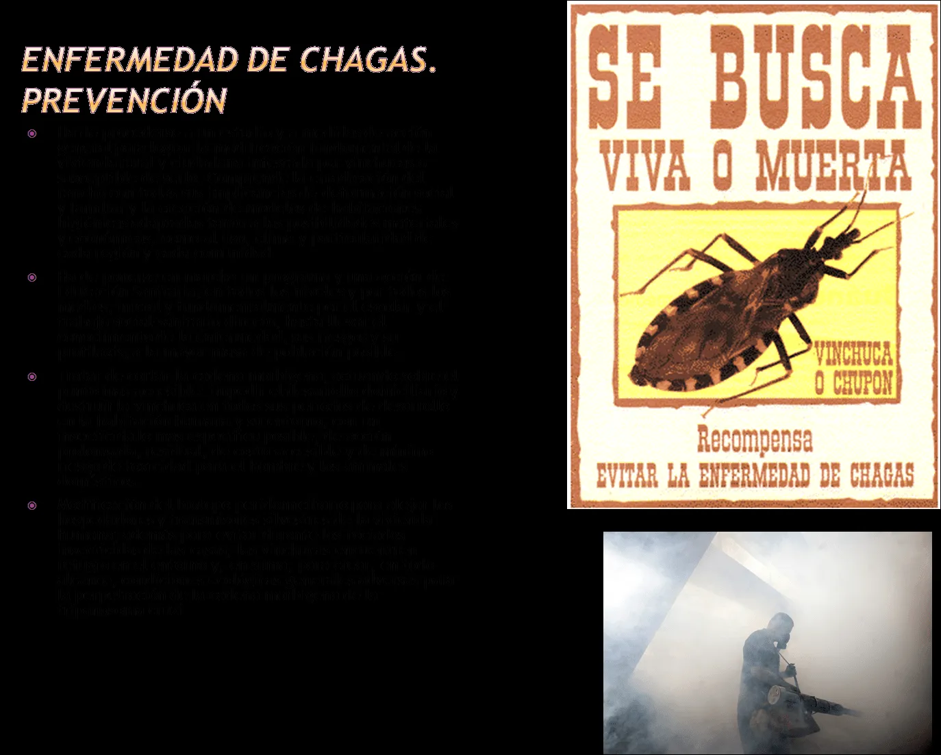 SIENTE LA TIERRA: noviembre 2009 SIENTE LA TIERRA: noviembre 2009