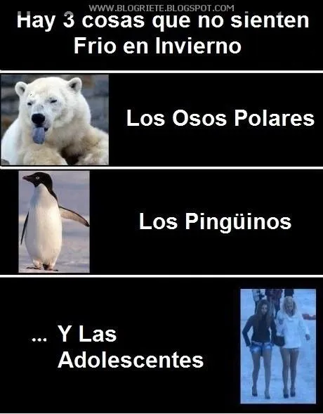 Hay 3 cosas que no sienten frio en invierno - imagenes graciosas y ... Hay 3 cosas que no sienten frio en invierno - imagenes graciosas y ...