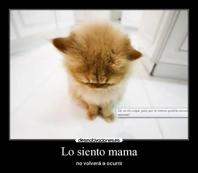 Lo siento mama | Desmotivaciones