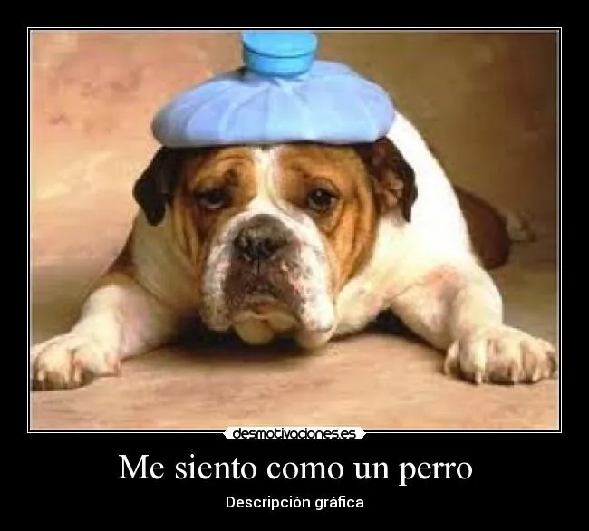 Me siento como un perro | Desmotivaciones