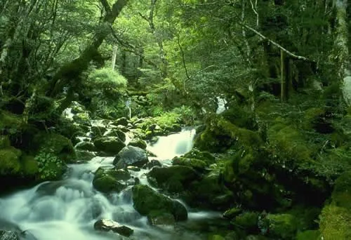 Que es el paisaje natural - Imagui