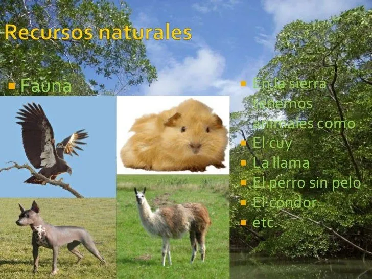 Sierra peruana ........