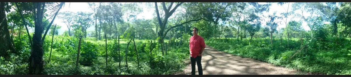 Sierra Verde, una estancia en Bejuma para celebrar la vida…y hasta ...