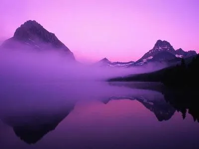 Qué significa soñar en color violeta | Significado de los sueños ...