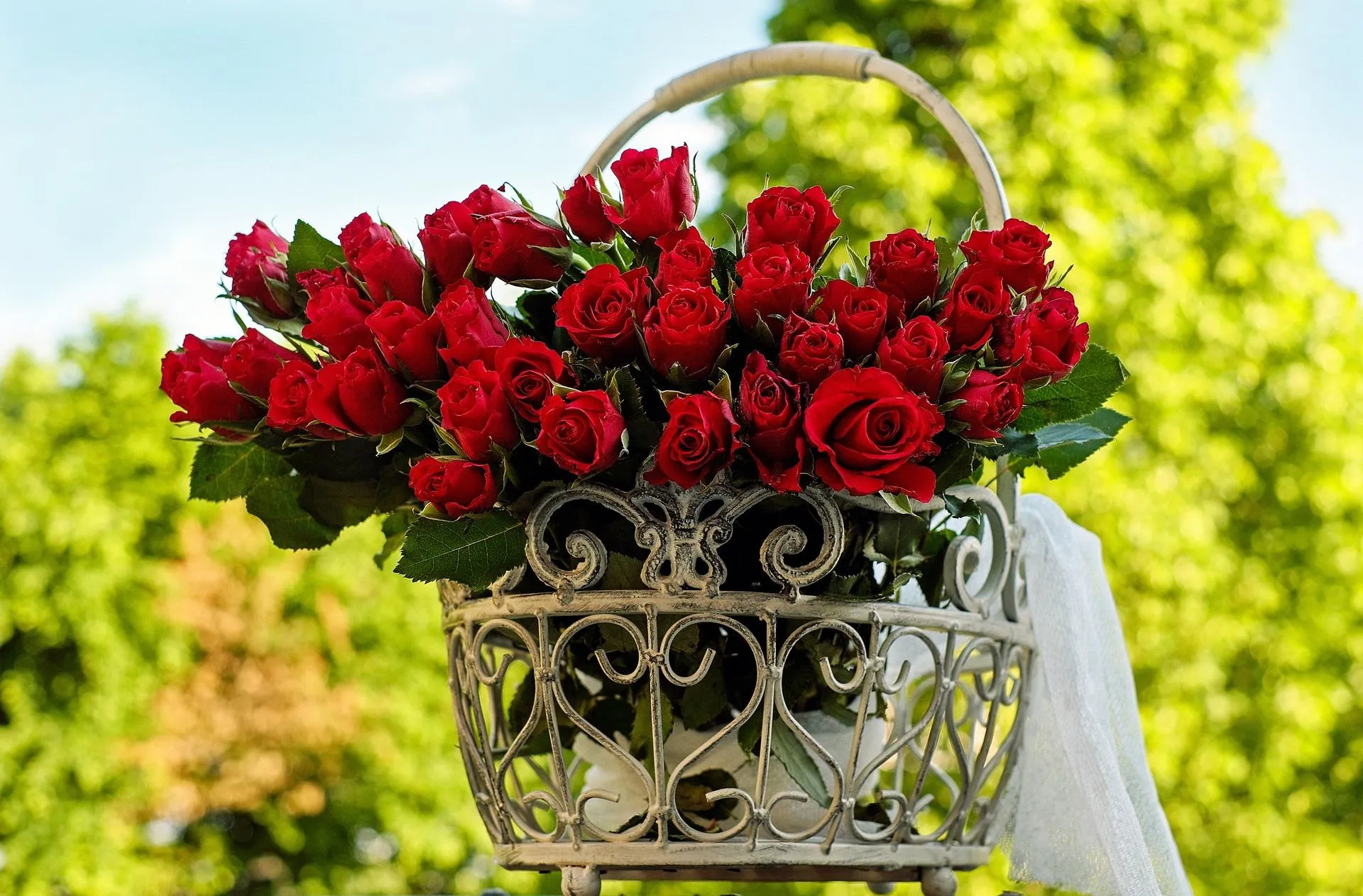 Qué significa SOÑAR con ROSAS - Interpretación de los sueños Qué significa SOÑAR con ROSAS - Interpretación de los sueños