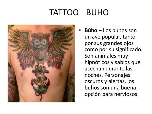 Significado de los buhos - Imagui