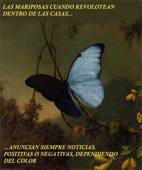 SIGNIFICADO DE LOS COLORES DE LAS MARIPOSAS. MENSAJES DE LAS ...