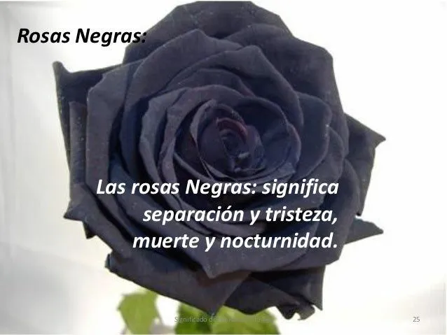 significado-de-las-rosas-25- ...