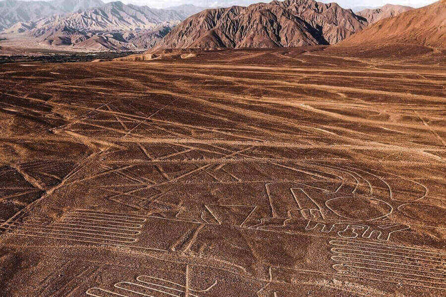 Significado del Dibujo de las Líneas de Nazca