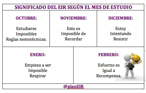 Significado de EIR según el mes de estudio | PLAN EIR Significado de EIR según el mes de estudio | PLAN EIR
