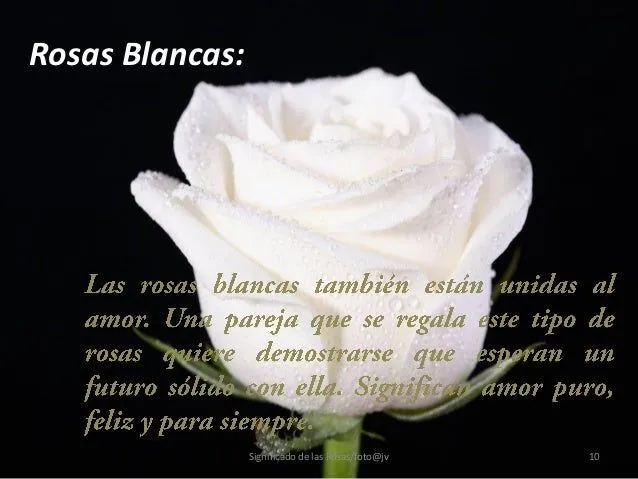 significado-de-las-rosas-10- ...