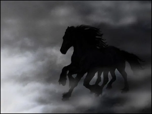 Significados de soñar con Caballo, Llegua, Pegaso, Pony, Unicornio..