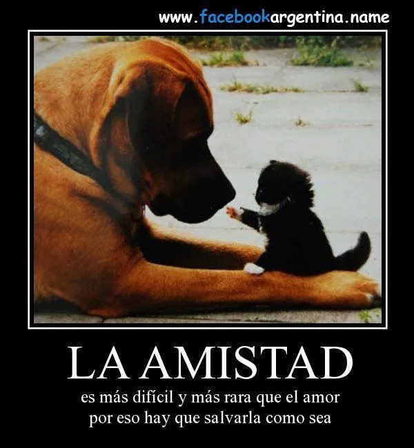 y siiiii | love or hate | Pinterest | El Amor, Amigos and Amor y siiiii | love or hate | Pinterest | El Amor, Amigos and Amor