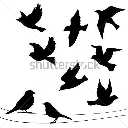 Conjunto DE Siluetas DE Aves Volando, imágenes prediseñadas (clip ...