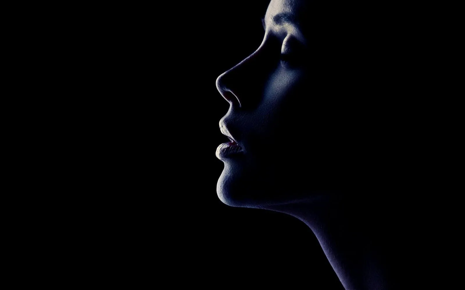 silueta-de-rostro-de-mujer-6417.jpg