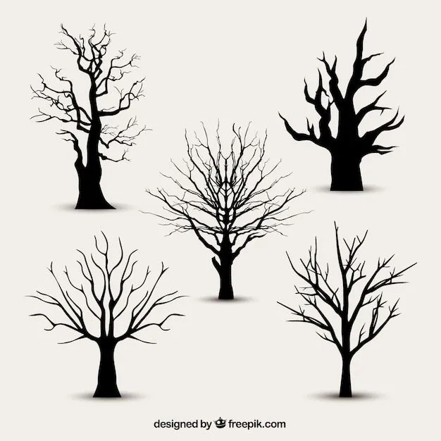 Ramas De Arboles | Fotos y Vectores gratis