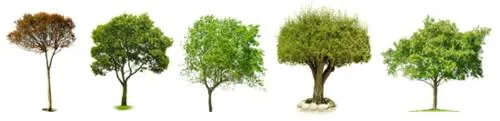 Siluetas de árboles en PSD, para Photoshop | portafolio blog Siluetas de árboles en PSD, para Photoshop | portafolio blog