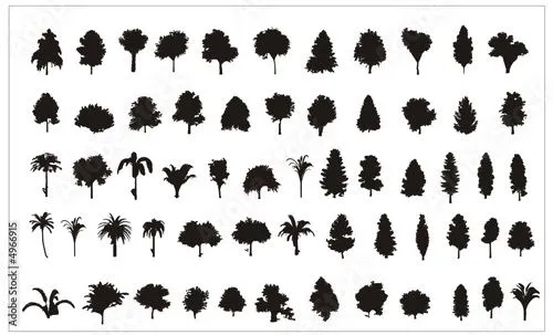 siluetas de arboles en vector © ighost #4966915 - Ver portfolio siluetas de arboles en vector © ighost #4966915 - Ver portfolio