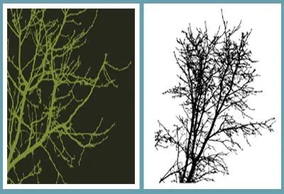 Siluetas de arboles en vectores, gratis | portafolio blog