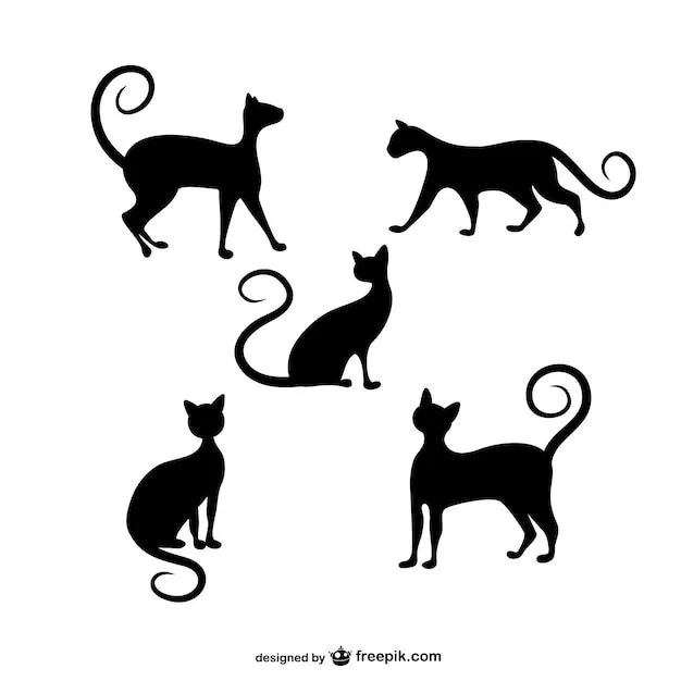 ilustración vectorial de stock: negro colecciones silueta del gato ...