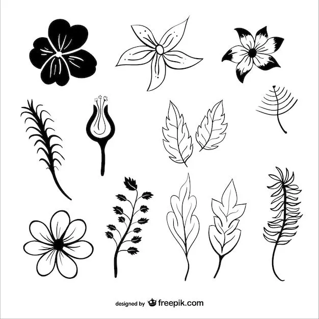 Siluetas de hojas y flores | Descargar Vectores gratis