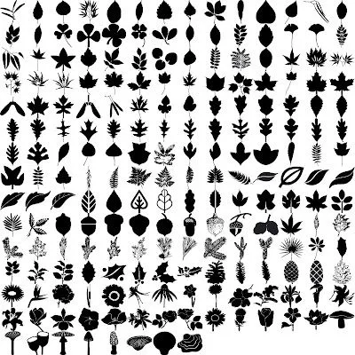 Siluetas de hojas y flores (Vector Leaves and Flowers Silhouette ... Siluetas de hojas y flores (Vector Leaves and Flowers Silhouette ...
