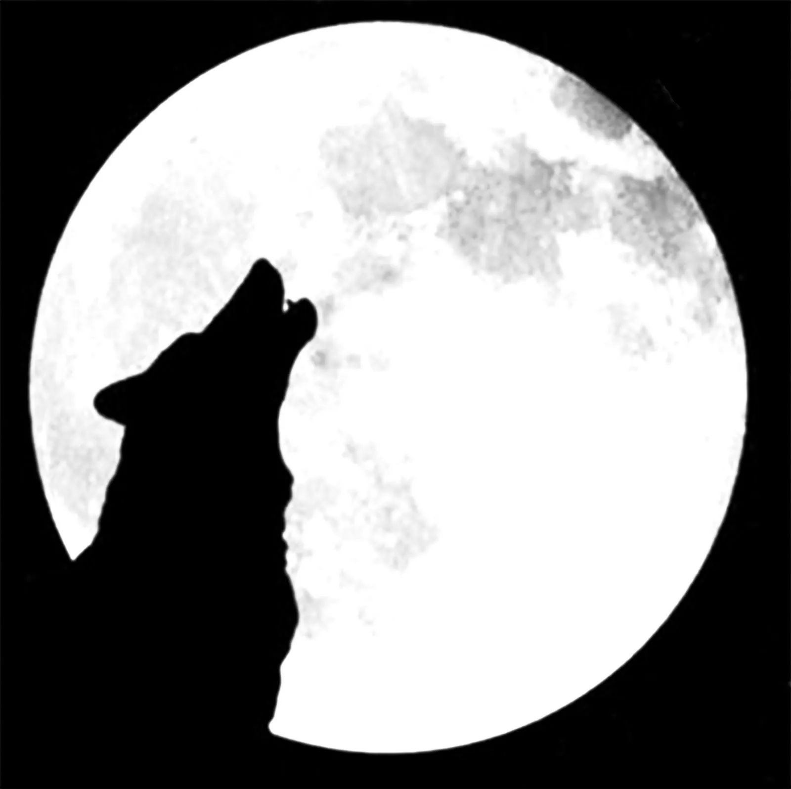Siluetas de lobos aullando - Imagui