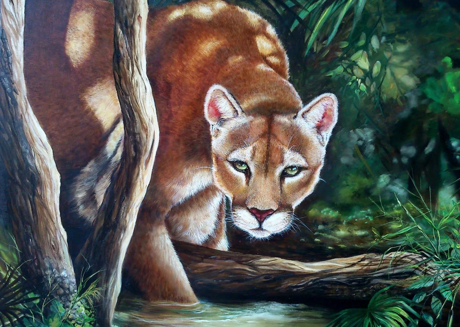 Silvia Spelzini, pinturas y dibujos: Oleos de animales
