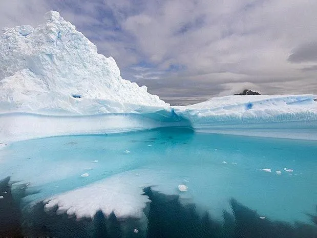 Sim , a natureza também é capaz de nos surpreender | Folhas Teen