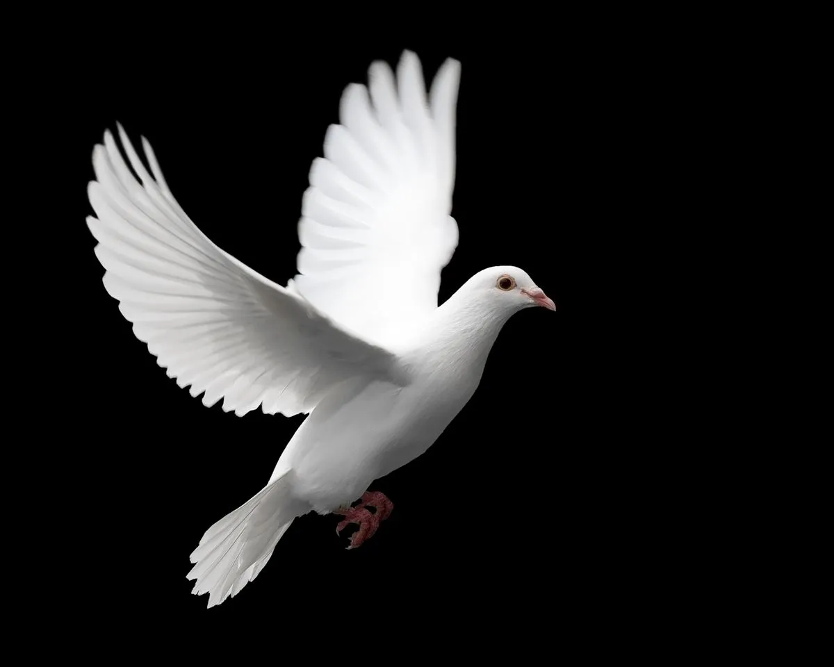 Por qué el símbolo de la paz es la paloma?