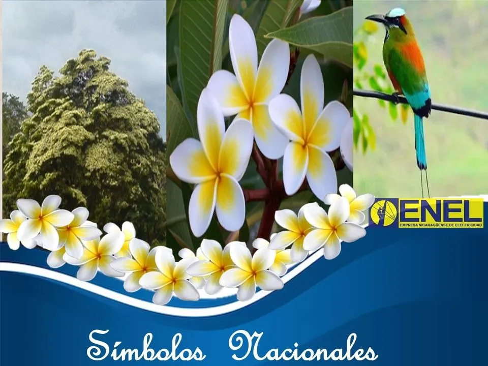 Símbolos nacionales - Empresa Nicaragüense de Electricidad - ENEL Símbolos nacionales - Empresa Nicaragüense de Electricidad - ENEL