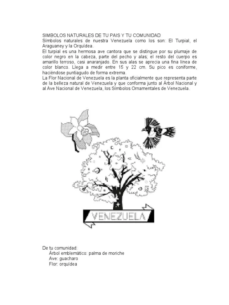 Simbolos Naturales de Tu Pais y Tu Comunidad | PDF | Naturaleza | Alimentos Simbolos Naturales de Tu Pais y Tu Comunidad | PDF | Naturaleza | Alimentos