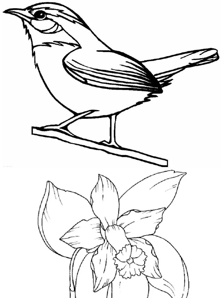 Simbolos Naturales Vzla para Colorear | PDF
