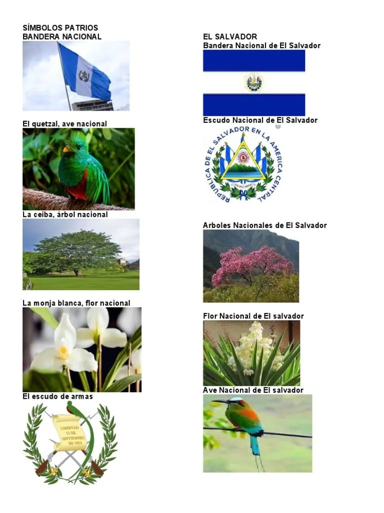 SÍMBOLOS PATRIOS DE CENTROAMERICA Mas Importantes 2 | PDF SÍMBOLOS PATRIOS DE CENTROAMERICA Mas Importantes 2 | PDF
